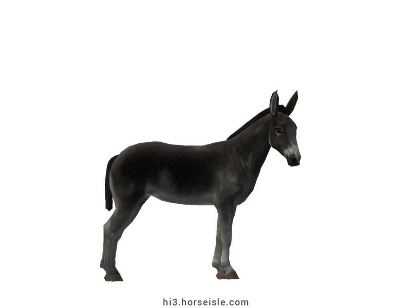 Pega Donkey Black Frosted Roan Coat (normal view)